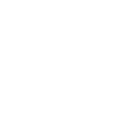 Blue Falcons Gymnastic Display Team
